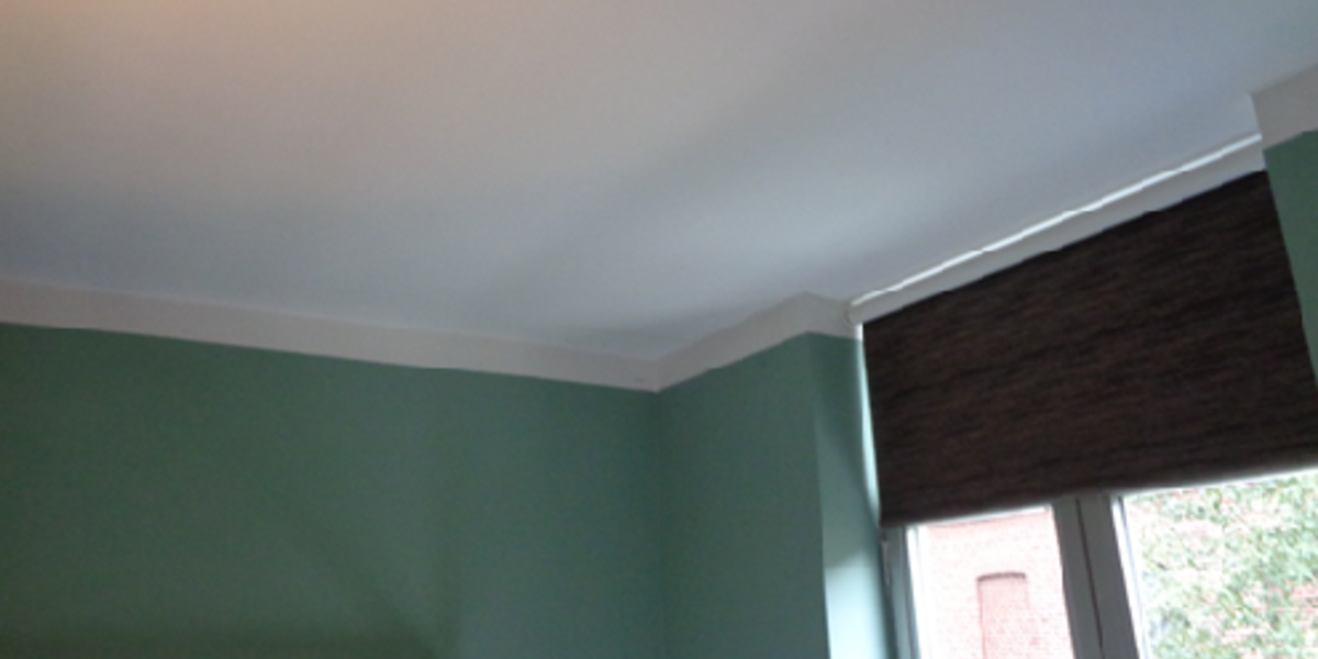 Lekopsporing: Waterinfiltratie thv plafond in slaapkamer